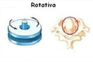 Lámina de articulación en pivote o rotativa.